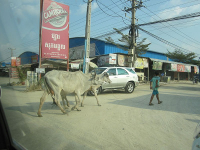 プノンペン郊外のダンカオ区の様子